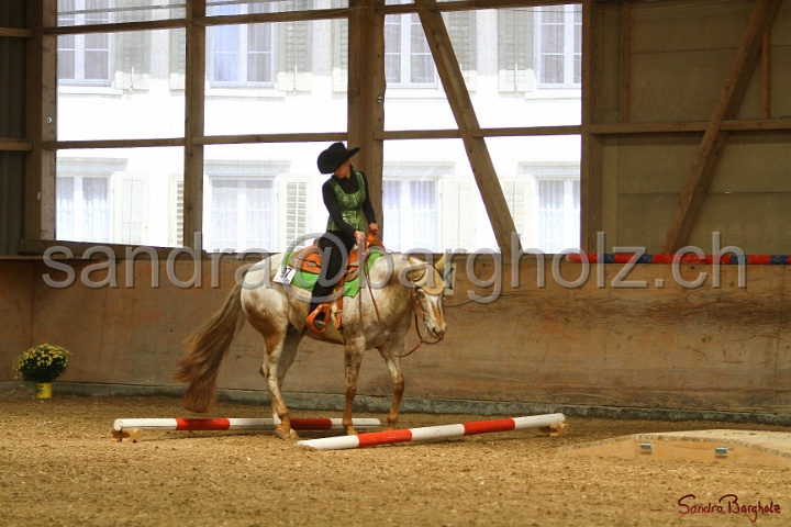 28-ApHC OT_123.jpg